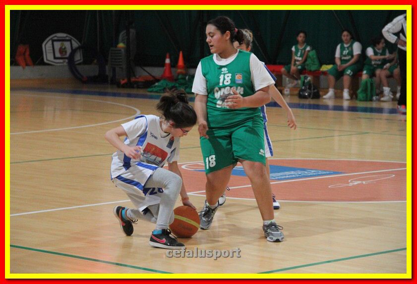 140301 GM_basket 246_tn.jpg